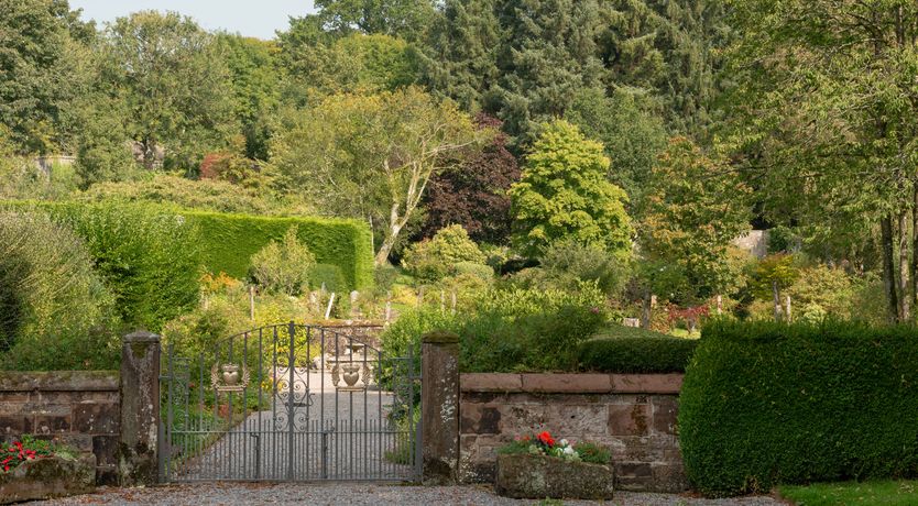 Photo of Sweet Green Grass