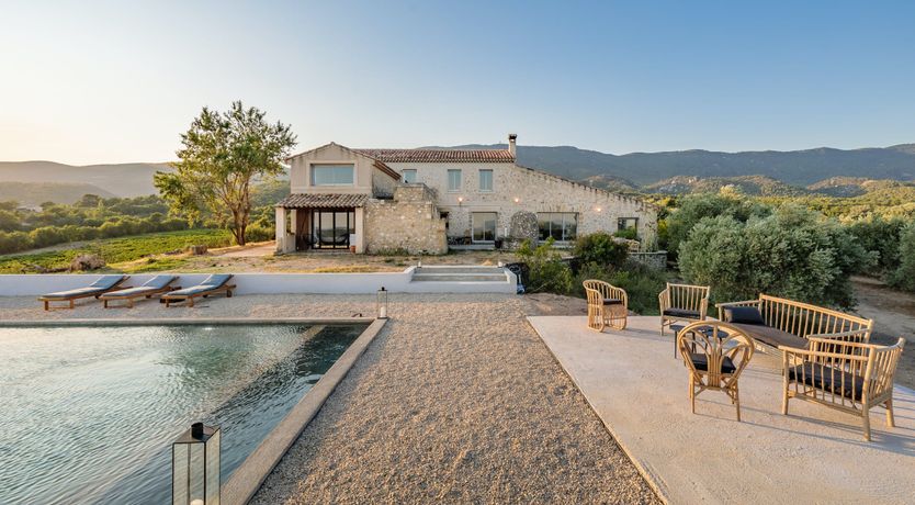 Photo of Garden of Olives