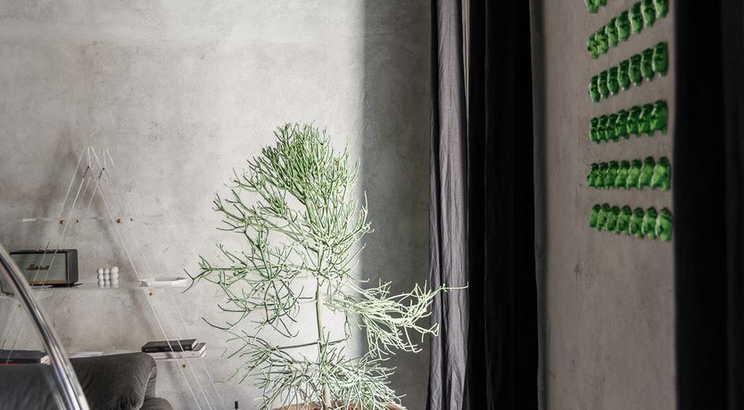 Photo of Neon Knights