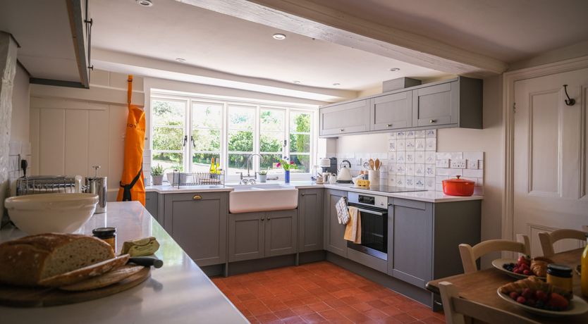 Photo of The Great Bloom