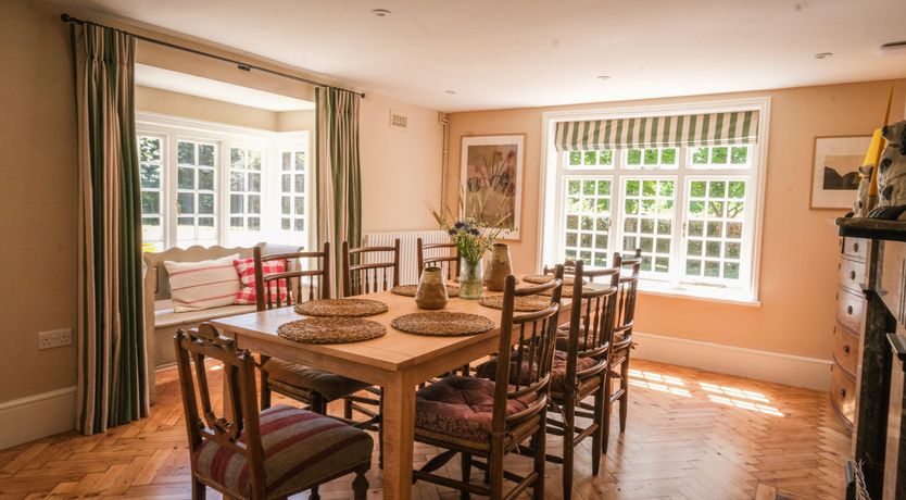 Photo of The Great Bloom