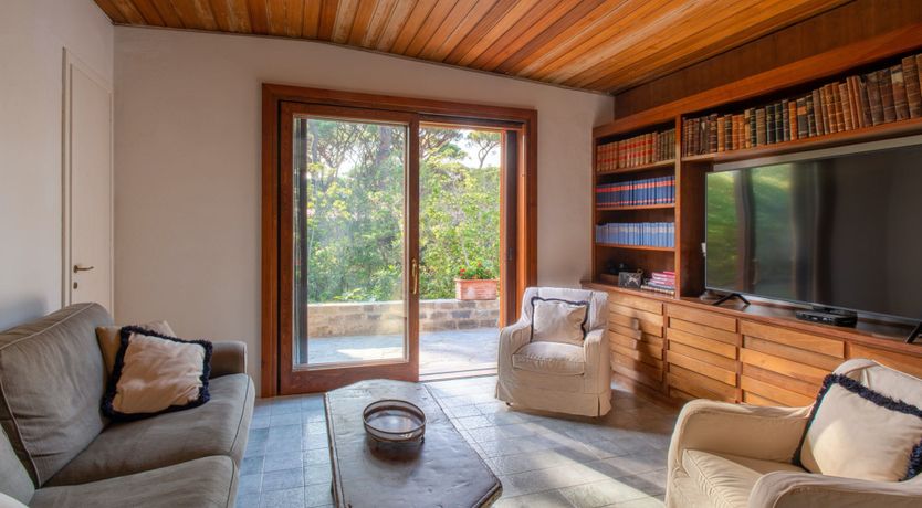 Photo of Tuscan Pine