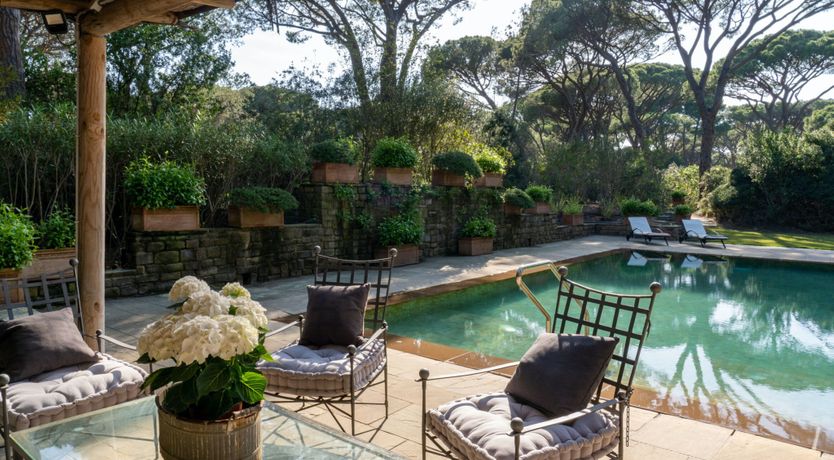 Photo of Tuscan Pine