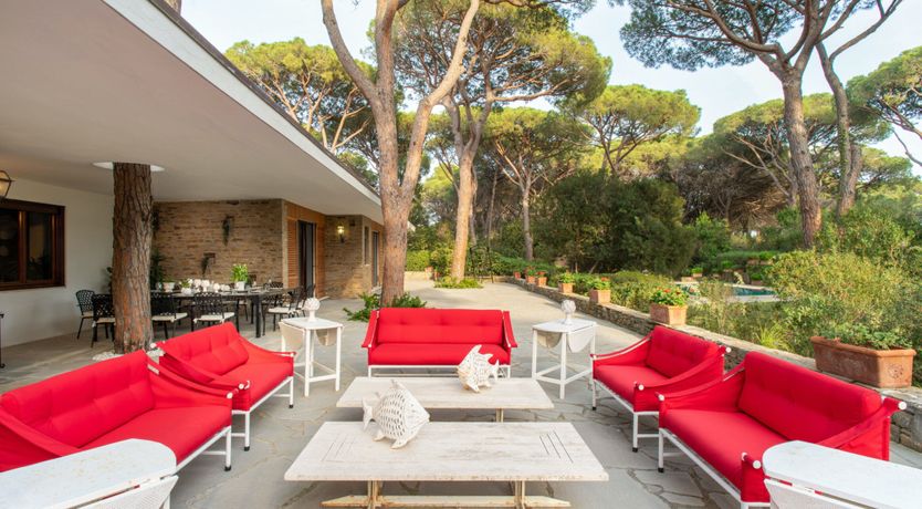 Photo of Tuscan Pine