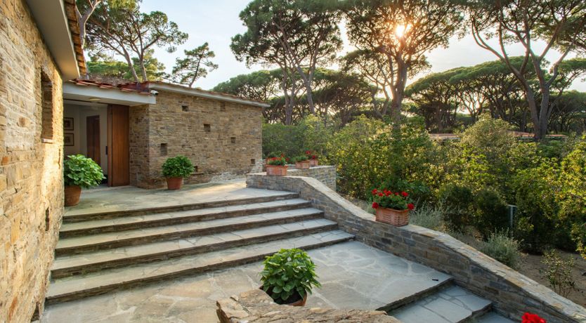 Photo of Tuscan Pine