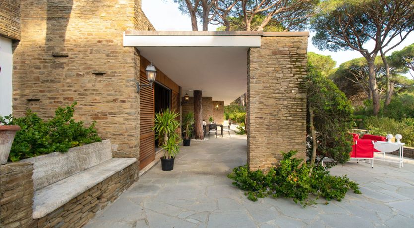 Photo of Tuscan Pine