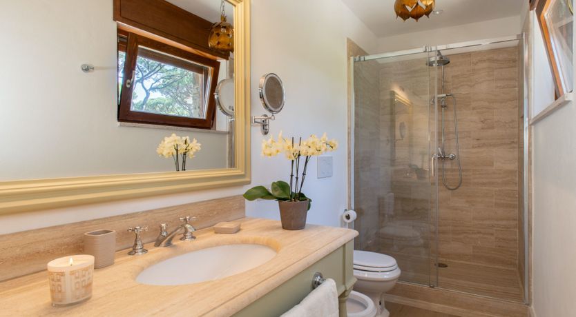 Photo of Tuscan Pine