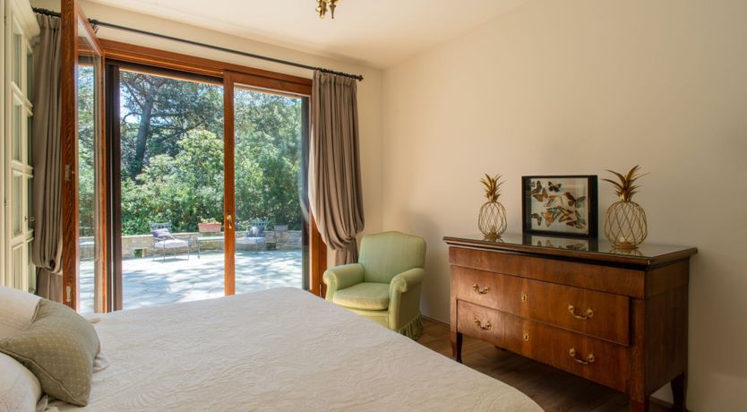 Photo of Tuscan Pine