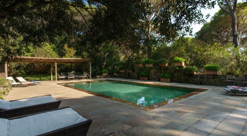 Photo of Tuscan Pine