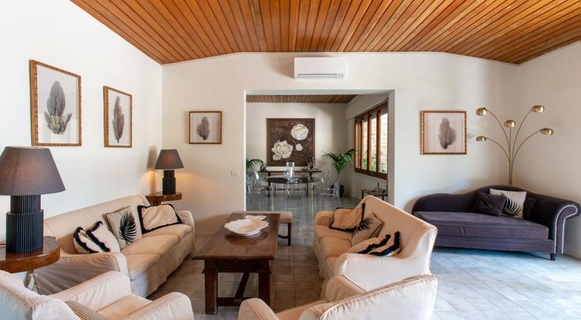 Photo of Tuscan Pine