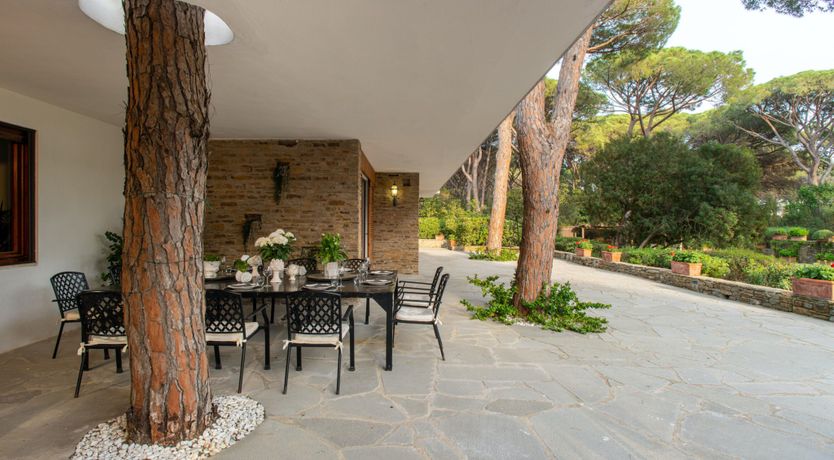 Photo of Tuscan Pine