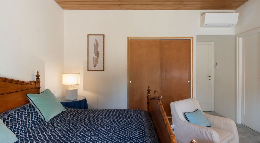 Photo of Tuscan Pine