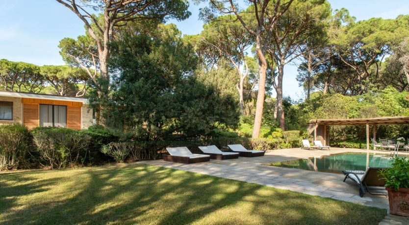 Photo of Tuscan Pine