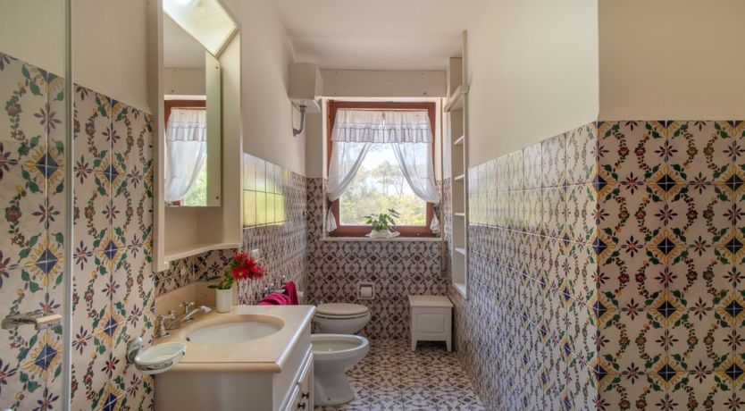 Photo of Tuscan Pine