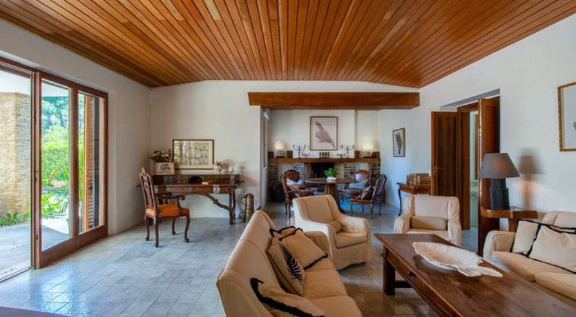 Photo of Tuscan Pine