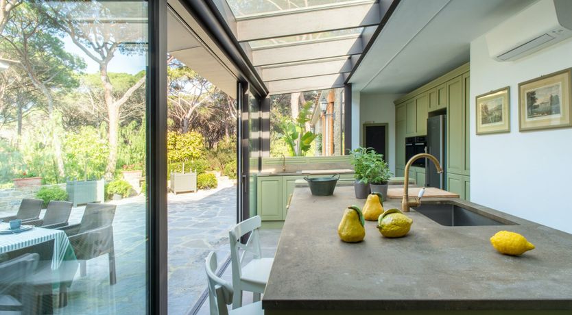 Photo of Tuscan Pine