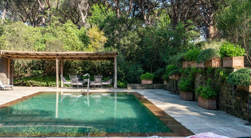 Photo of Tuscan Pine