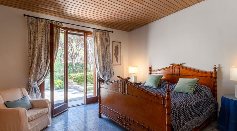 Photo of Tuscan Pine