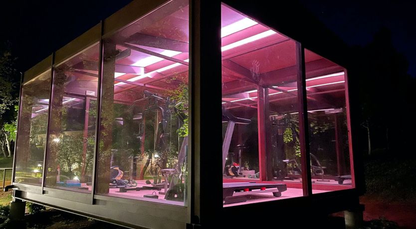 Photo of Golden Dahlia