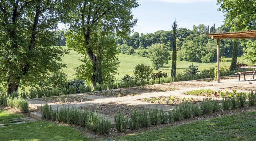 Photo of Golden Dahlia