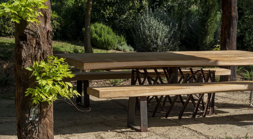 Photo of Golden Dahlia