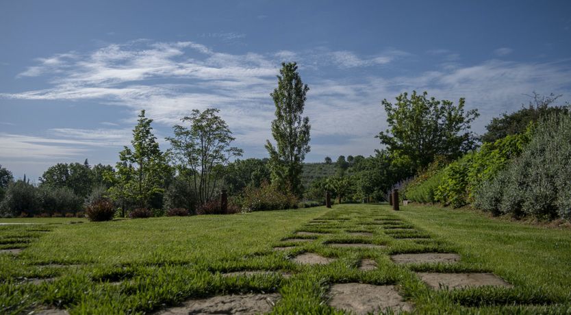 Photo of Golden Dahlia