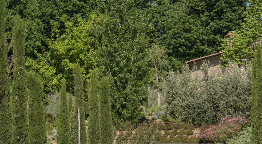 Photo of Golden Dahlia