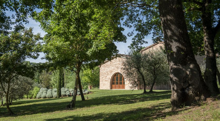 Photo of Golden Dahlia