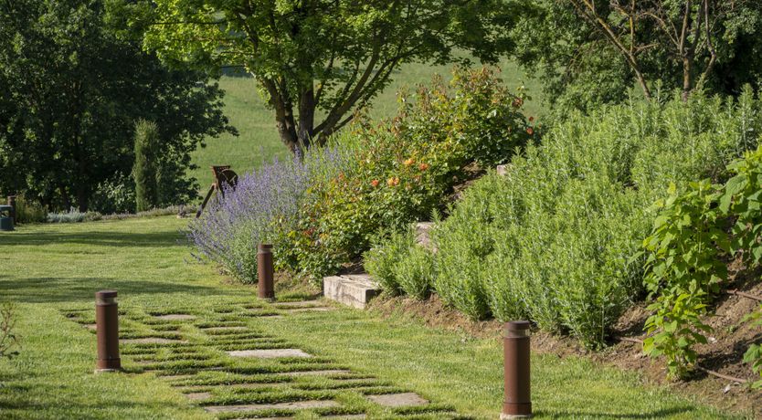 Photo of Golden Dahlia