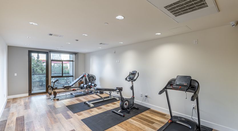 Photo of The Magic of Hollywood