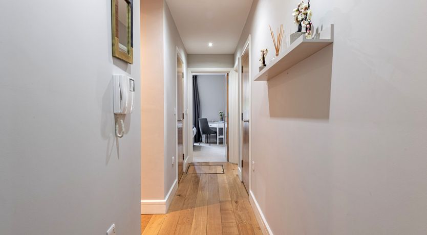 Photo of Birds of Prey