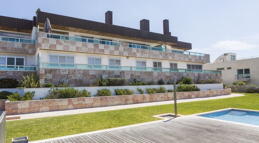 Photo of Majestic Horizons