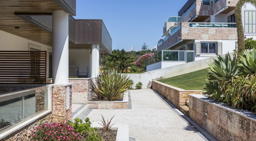 Photo of Majestic Horizons