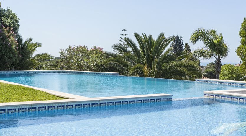 Photo of Majestic Horizons