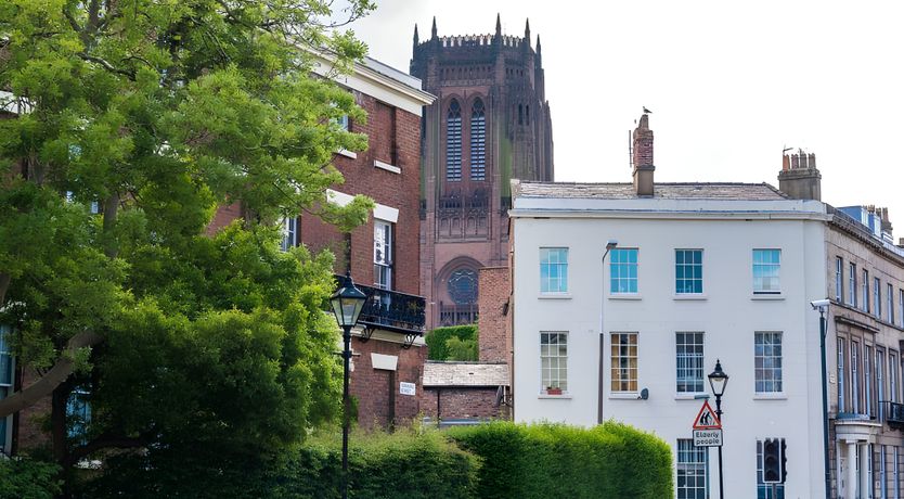 Photo of The Flower Throw