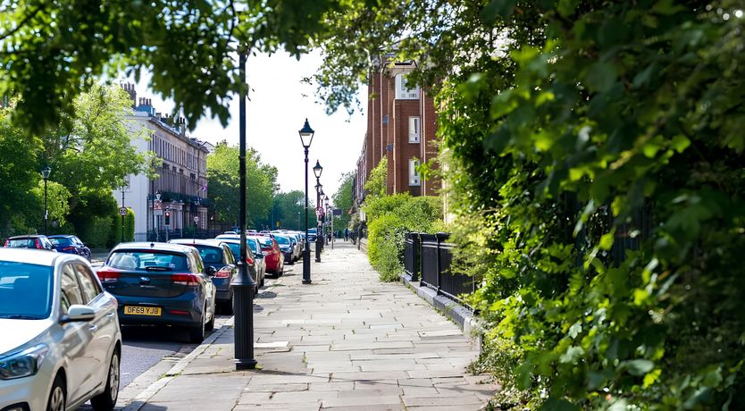 Photo of The Flower Throw