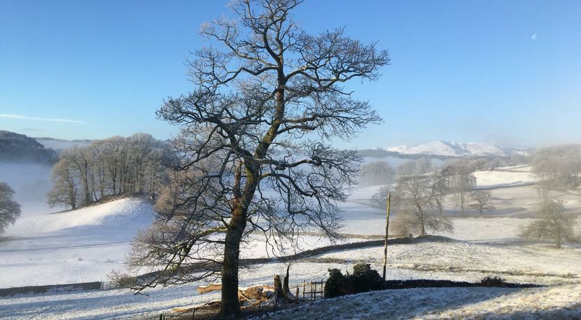 Photo of Walking in the Rain