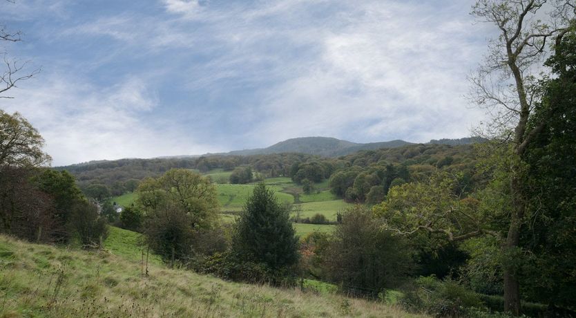 Photo of Walking in the Rain