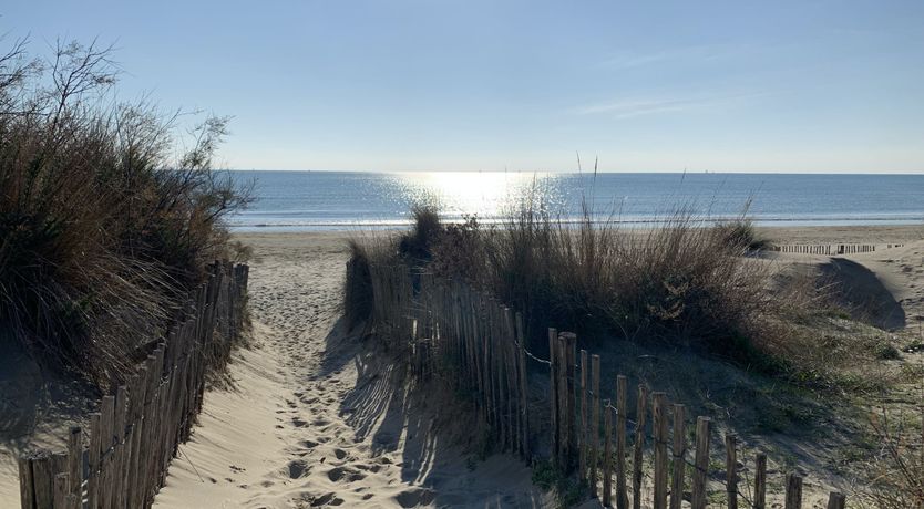 Photo of Montpellier Memory