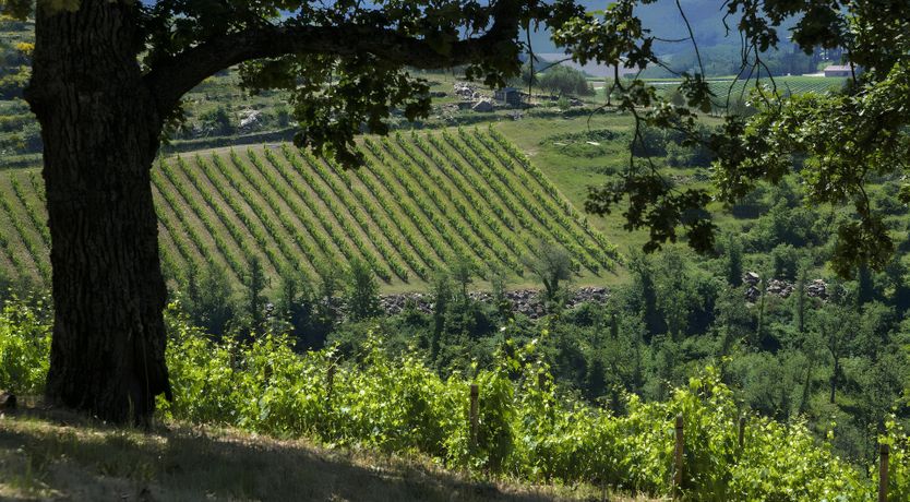 Photo of The Chianti Way