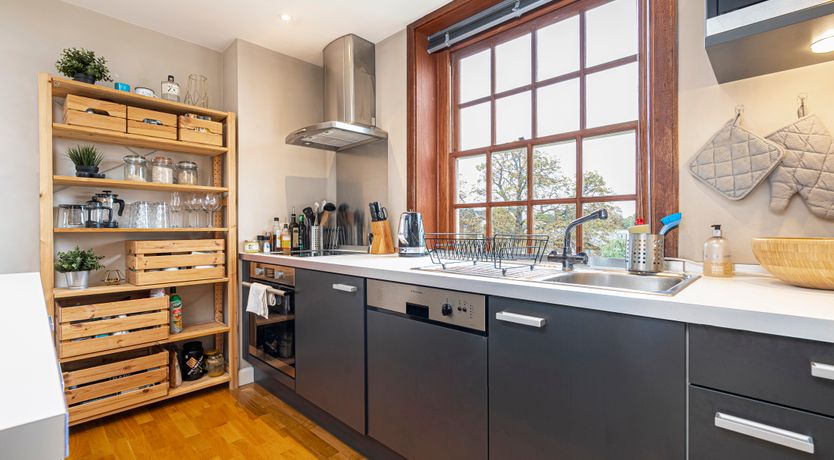 Photo of Oak & Evergreen