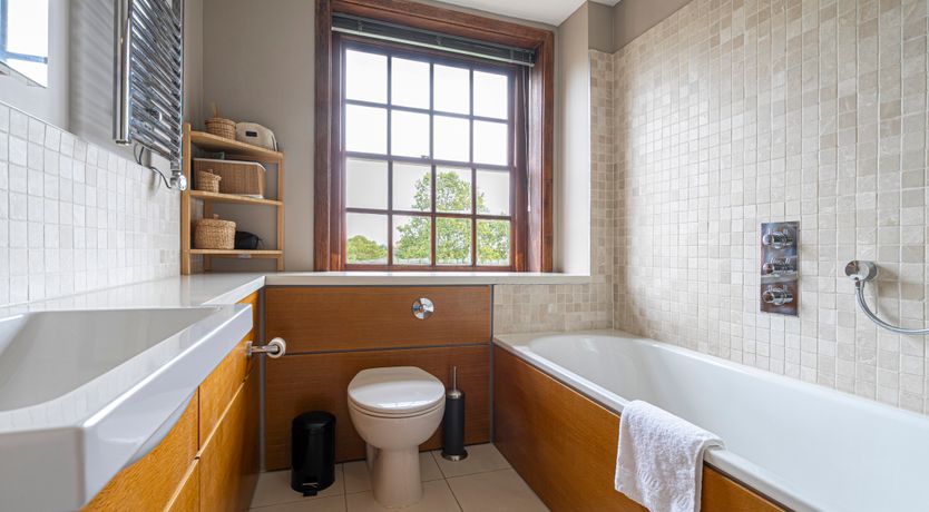 Photo of Oak & Evergreen