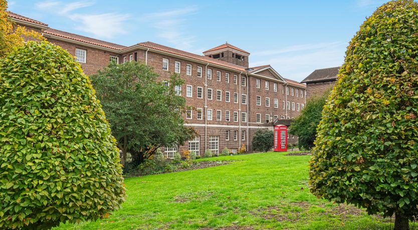 Photo of Oak & Evergreen