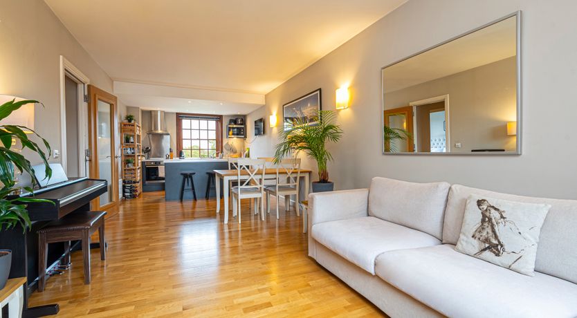 Photo of Oak & Evergreen