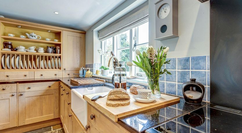 Photo of The Peacock Feather