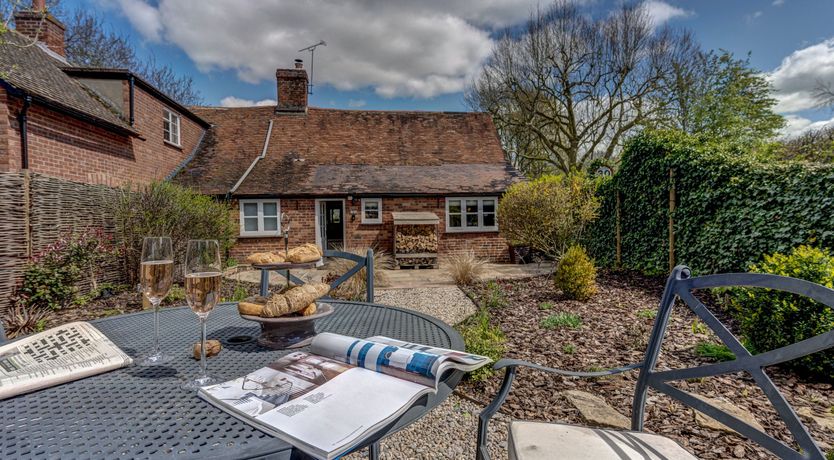 Photo of The Peacock Feather