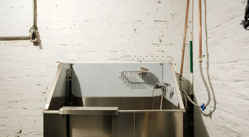 Photo of The Miniature Mint