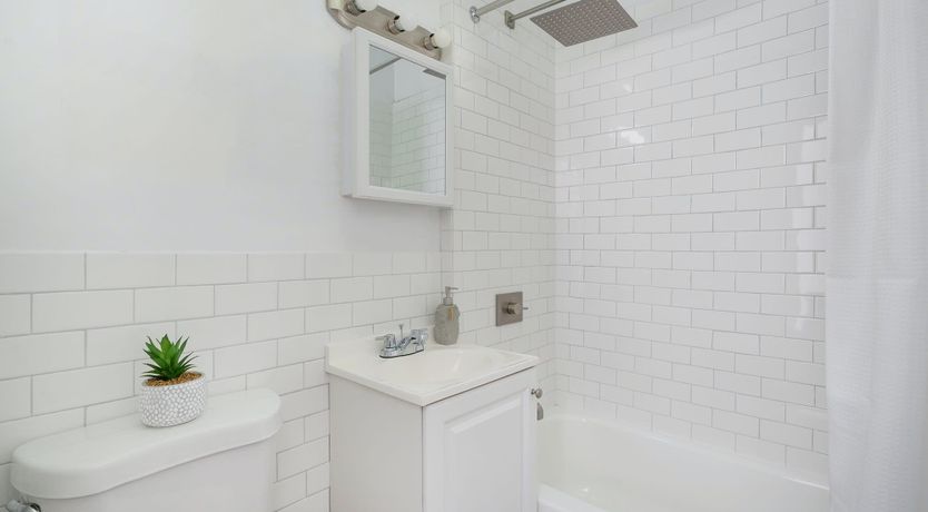 Photo of The Miniature Mint