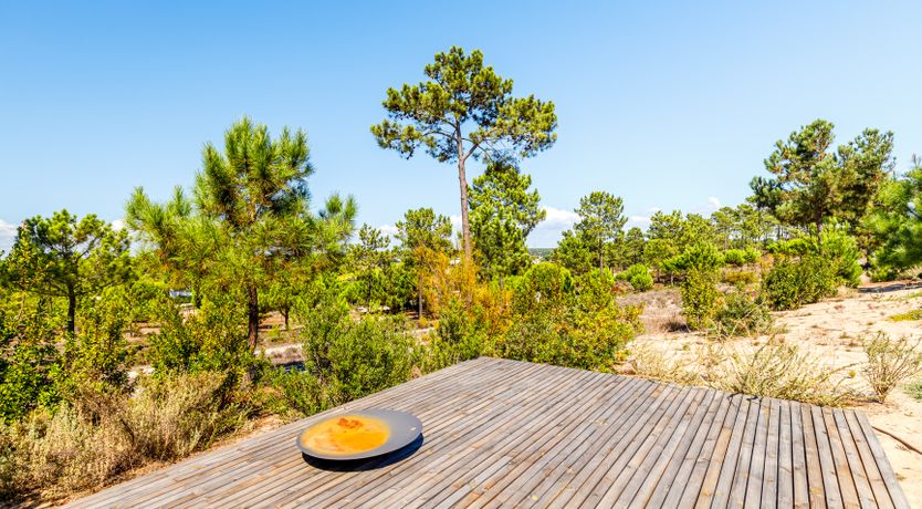 Photo of Garden & Beach