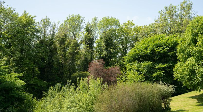 Photo of The Brontë Sisters